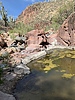 photo thumbnail #14