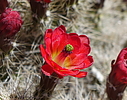 photo thumbnail #14