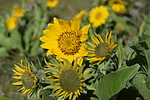 photo thumbnail #4