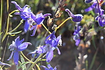 photo thumbnail #10