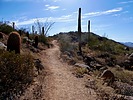 photo thumbnail #2