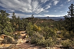photo thumbnail #14