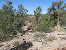 photo thumbnail #5