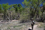 photo thumbnail #11