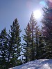 photo thumbnail #9