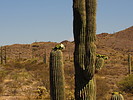 photo thumbnail #5