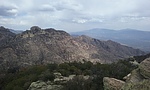 photo thumbnail #2