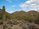 photo thumbnail #6