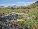 photo thumbnail #11