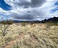 photo thumbnail #15