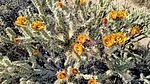 photo thumbnail #13