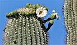 photo thumbnail #2