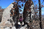 photo thumbnail #6