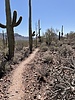 photo thumbnail #3