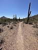 photo thumbnail #5