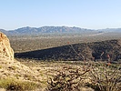 photo thumbnail #2