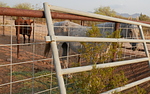 photo thumbnail #9