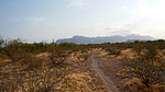 photo thumbnail #12
