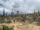 photo thumbnail #10
