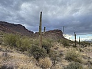 photo thumbnail #1