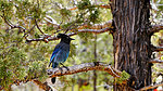 photo thumbnail #12