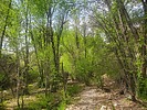 photo thumbnail #1