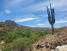 photo thumbnail #5