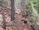 photo thumbnail #7