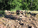 photo thumbnail #7