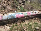 photo thumbnail #8
