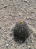 photo thumbnail #11