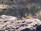 photo thumbnail #3