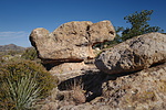 photo thumbnail #9