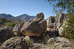 photo thumbnail #10