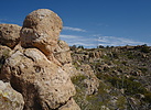 photo thumbnail #15