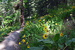 photo thumbnail #14