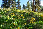 photo thumbnail #15