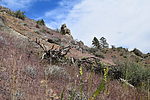 photo thumbnail #2