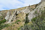 photo thumbnail #10