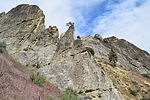 photo thumbnail #14