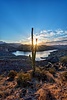 photo thumbnail #9