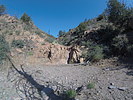 photo thumbnail #7