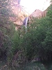photo thumbnail #9