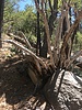 photo thumbnail #12