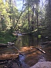 photo thumbnail #14