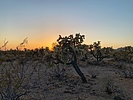 photo thumbnail #13