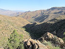 photo thumbnail #9