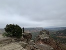 photo thumbnail #15