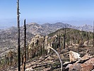 photo thumbnail #7