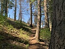 photo thumbnail #9